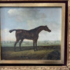 Danish 19th Century Painting Portrait of a Horse 65789