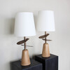 Lucca Studio Pair of Bronze and Wood Lamps 43342