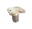French Organic Burl Wood Side Table 63769