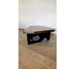 Lucca Studio Leo Organic Modern Coffee Table with Unusual Base 66489
