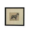 Glayds Emerson Cook Pencil Drawing of a Schnauzer 65964